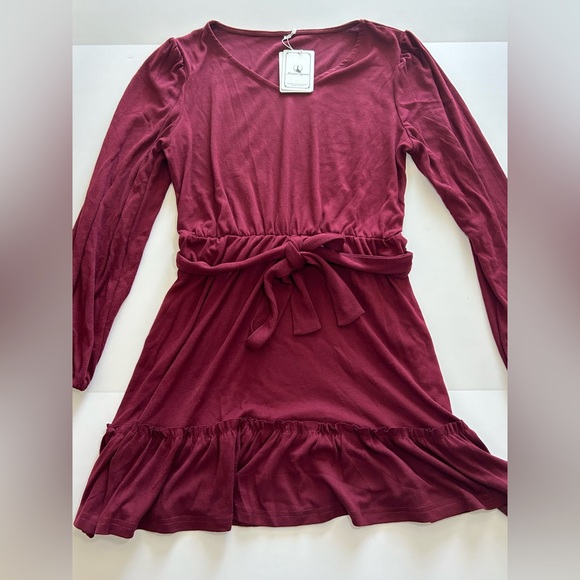 Alaster Queen Cotton Long Sleeve Mini Dress Burgundy size Medium - Picture 3 of 8